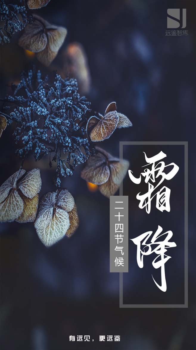 霜降5